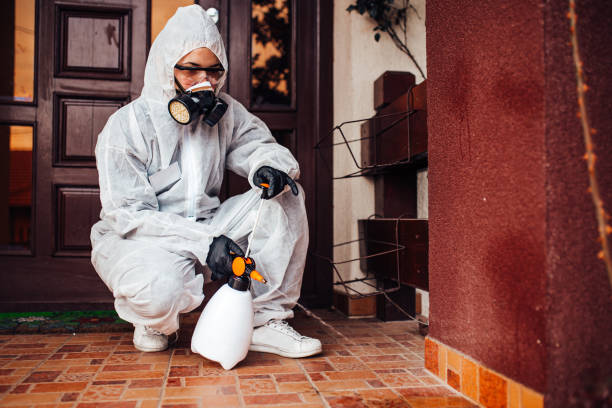 Reliable Cockroach Control contractor in Benicia, CA by Nex Pest Control